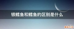 银鳕鱼和鳕鱼的区别是什么