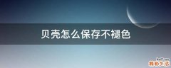 贝壳怎么保存不褪色