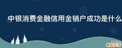 中银消费金融信用金销户成功是什么意思