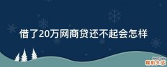 借了20万网商贷还不起会怎样