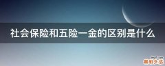 社会保险和五险一金的区别是什么