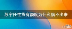 苏宁任性贷有额度为什么借不出来