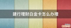 建行理财白金卡怎么办理