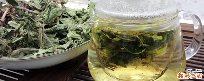 蒲公英茶利尿吗 蒲公英茶是根好还是叶子好