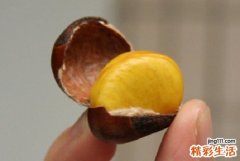 吃什么食物补精养肾 养肾的食物有哪些