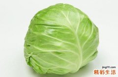 肾不好吃什么养肾 日常生活中补肾可以多吃下面这些食物