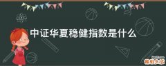 中证华夏稳健指数是什么