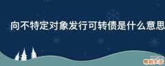 向不特定对象发行可转债是什么意思