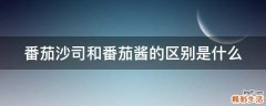 番茄沙司和番茄酱的区别是什么