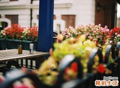 化妆品皮炎是不容忽视的