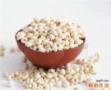 养肺润肺的食物 这几种能有效保护好你的肺