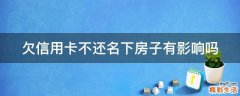 欠信用卡不还名下房子有影响吗
