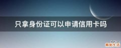 只拿身份证可以申请信用卡吗