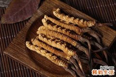 什么食物最养肺 养肺的食物有哪些