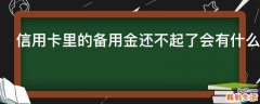 信用卡里的备用金还不起了会有什么结果