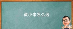 黄小米怎么选