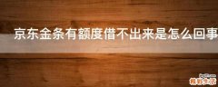 京东金条有额度借不出来是怎么回事
