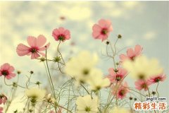3 老师让我的青春蒙上了灰