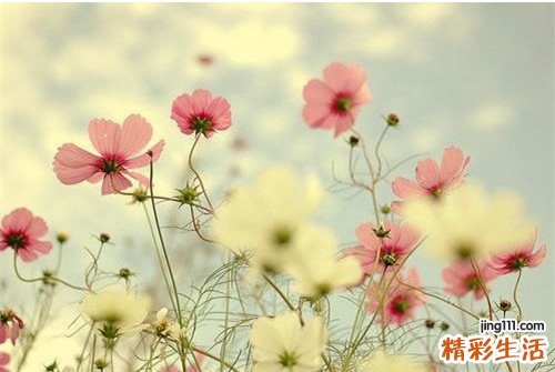 3 老师让我的青春蒙上了灰