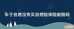 车子自燃没有买自燃险保险能赔吗