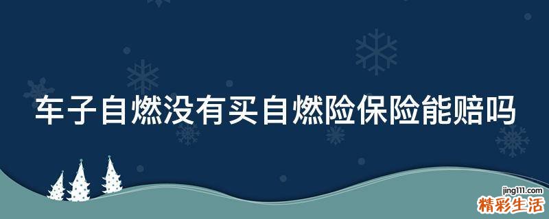 车子自燃没有买自燃险保险能赔吗