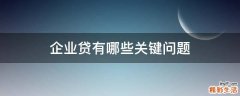 企业贷有哪些关键问题