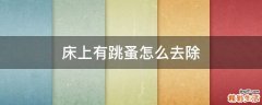床上有跳蚤怎么去除