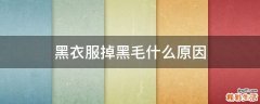 黑衣服掉黑毛什么原因