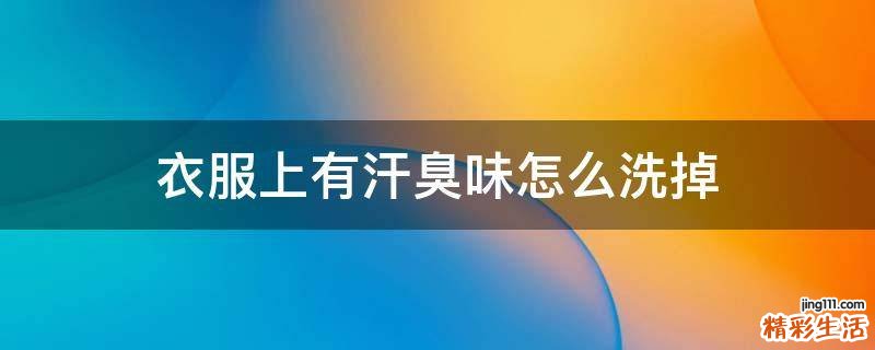 衣服上有汗臭味怎么洗掉