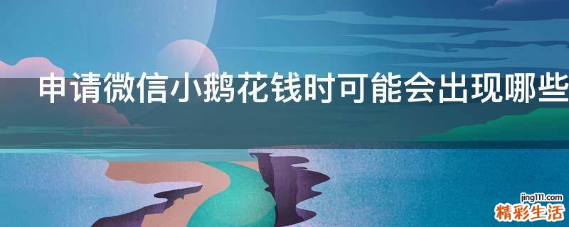 申请微信小鹅花钱时可能会出现哪些情况