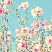 2 经断复来