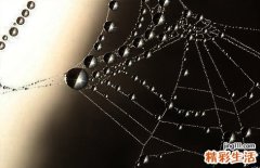 能让男友直冒冷汗的七句话