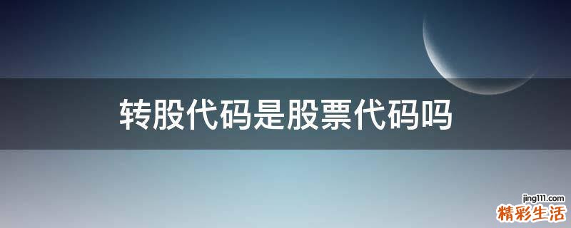 转股代码是股票代码吗