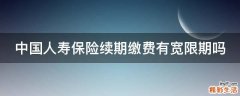 中国人寿保险续期缴费有宽限期吗