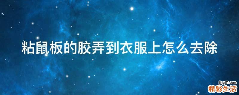 粘鼠板的胶弄到衣服上怎么去除