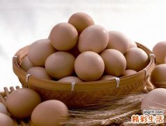 脑力工作者吃什么好