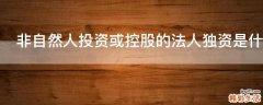 非自然人投资或控股的法人独资是什么意思