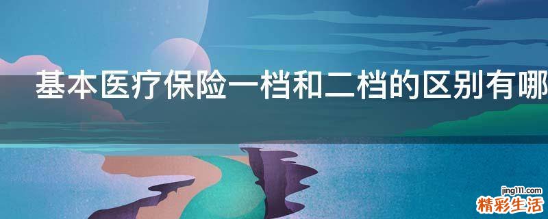 基本医疗保险一档和二档的区别有哪些