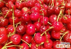 青少年补脑吃什么 这些水果可以帮助青少年补脑健脑