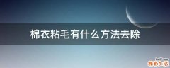 棉衣粘毛有什么方法去除