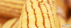 记忆力下降吃什么好 补脑吃什么食物好