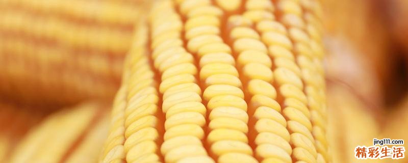 记忆力下降吃什么好 补脑吃什么食物好