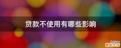 贷款不使用有哪些影响