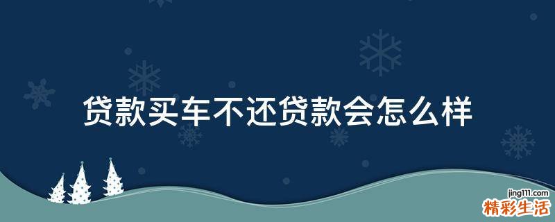 贷款买车不还贷款会怎么样