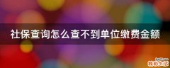 社保查询怎么查不到单位缴费金额