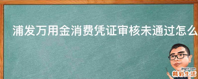 浦发万用金消费凭证审核未通过怎么办
