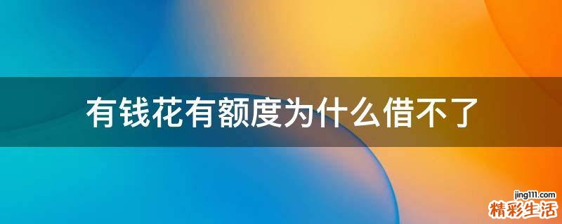 有钱花有额度为什么借不了