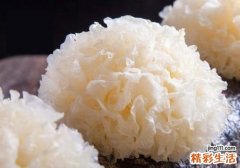 养肺润肺的食物 这些吃了吗您