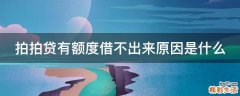 拍拍贷有额度借不出来原因是什么