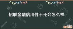 招联金融信用付不还会怎么样